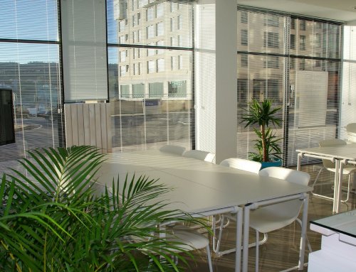 Coworking- Promoting sharing resources in a workplace of developing countries
